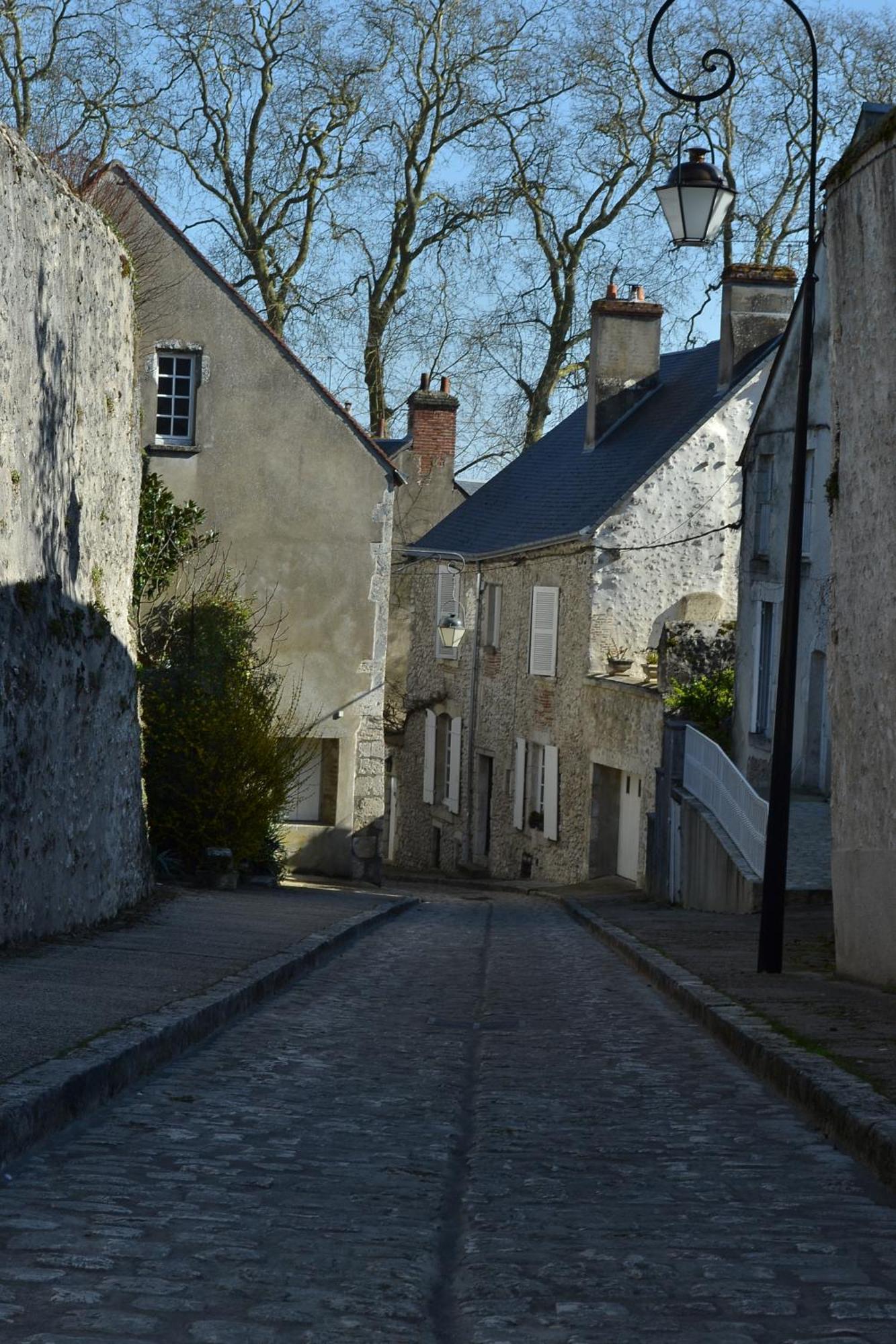 B&B Chez Sylvain Beaugency Extérieur photo