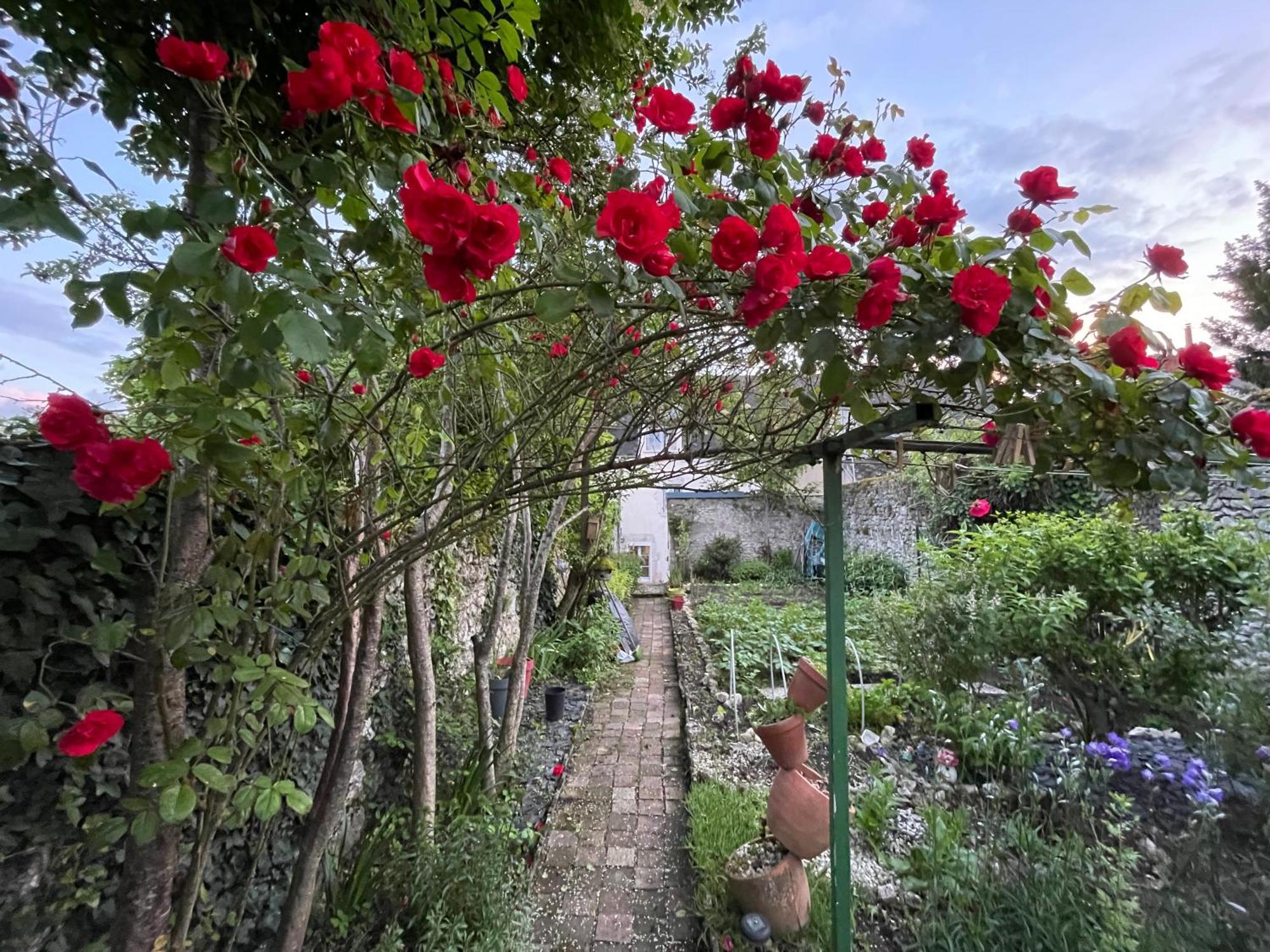 B&B Chez Sylvain Beaugency Extérieur photo